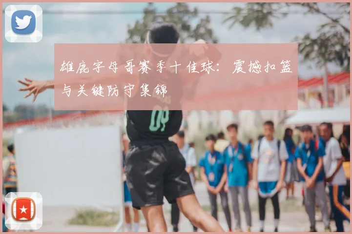 雄鹿字母哥赛季十佳球：震撼扣篮与关键防守集锦